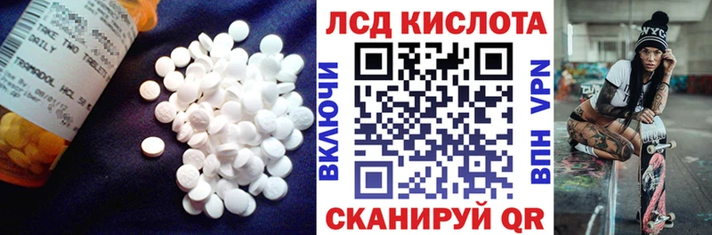 где можно купить наркотик  Красный Кут  Лсд 25 экстази ecstasy 