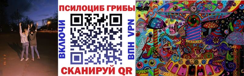 Псилоцибиновые грибы Psilocybine cubensis  Красный Кут 